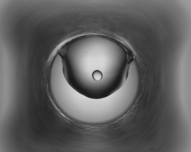 X0000086321504200704202012