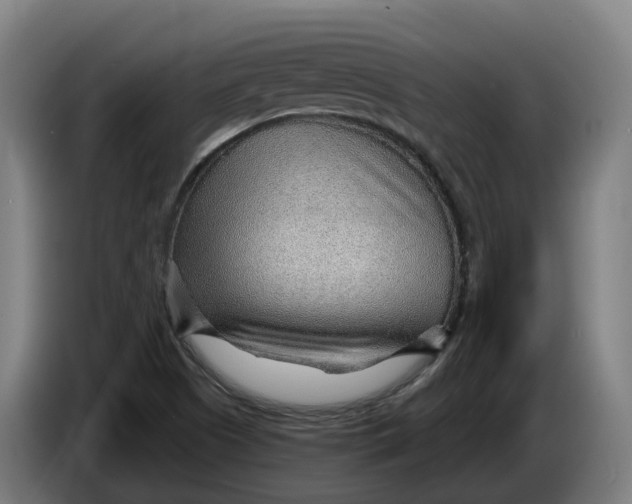 X0000086321505200704202012