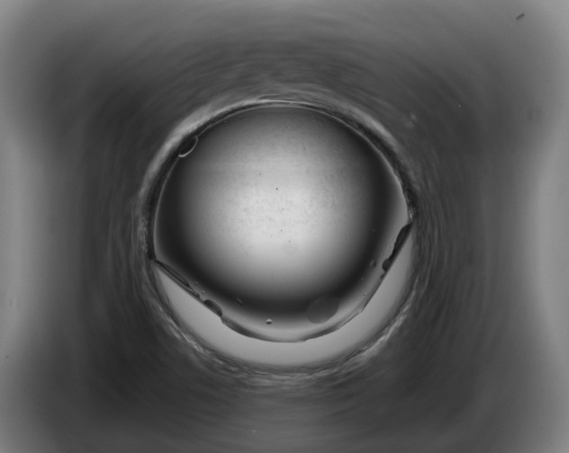 X0000086321506200704202012