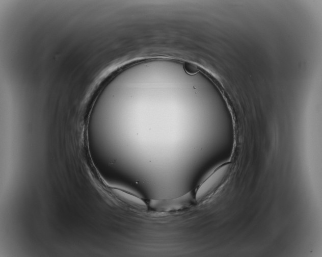 X0000086321507200704202012