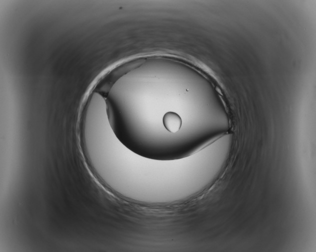 X0000086321508200704202012