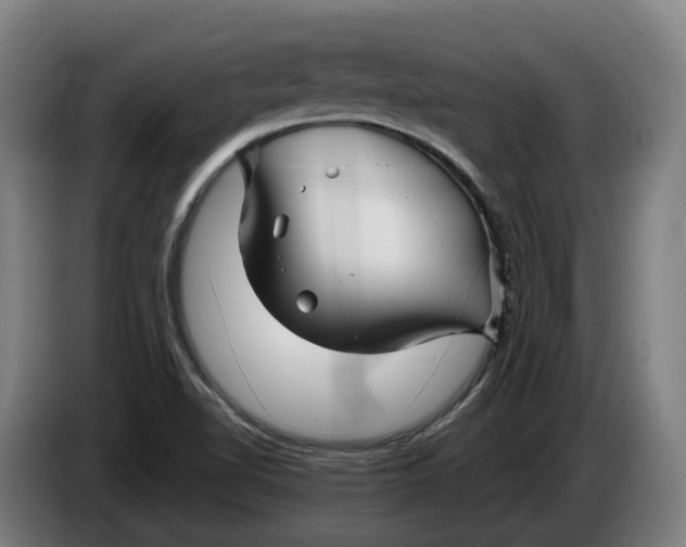 X0000086321510200704202012