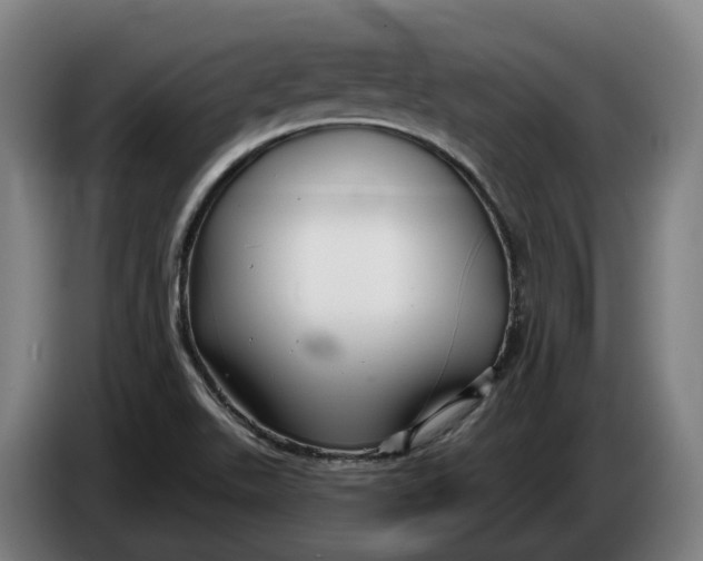 X0000086321511200704202012