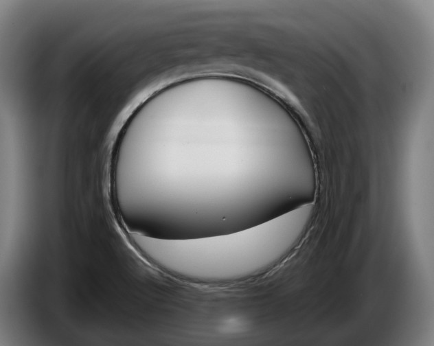 X0000086321512200704202012