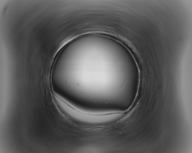 X0000086321513200704202012