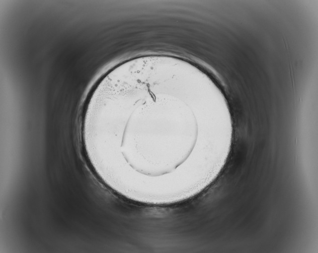 X0000086321514200704202012