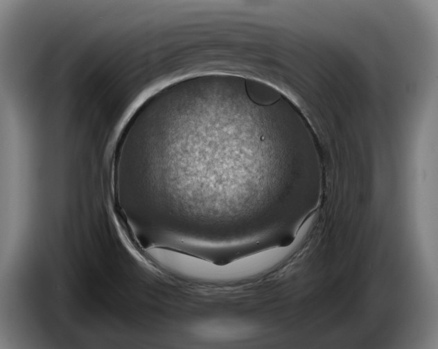 X0000086321515200704202012