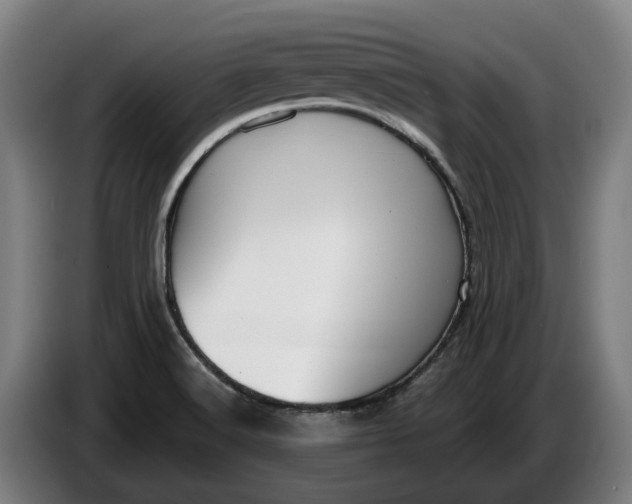 X0000086321516200704202012