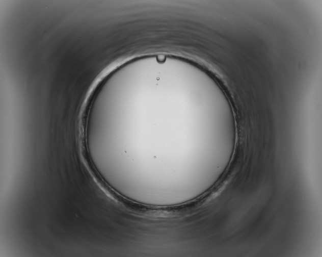 X0000086321517200704202012