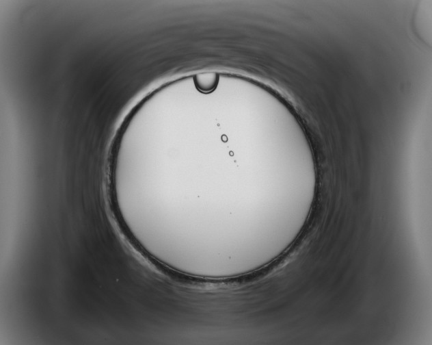 X0000086321518200704202012