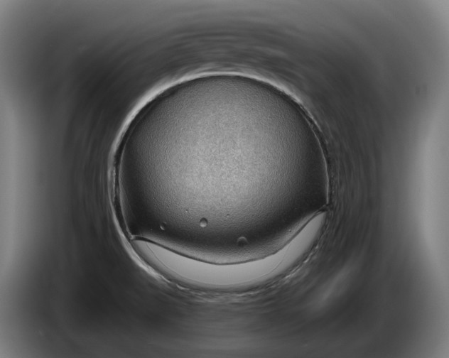 X0000086321519200704202012