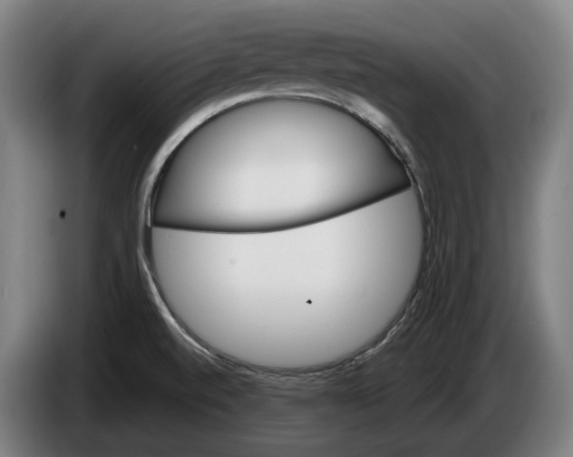 X0000086321520200704202012