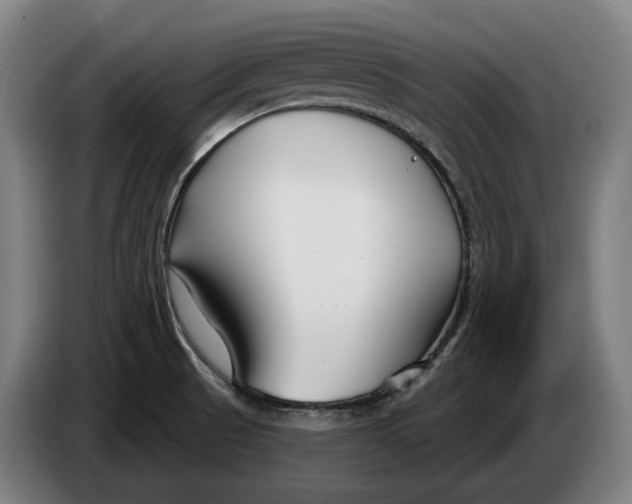 X0000086321521200704202012