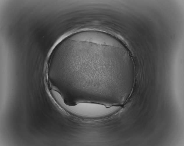 X0000086321522200704202012