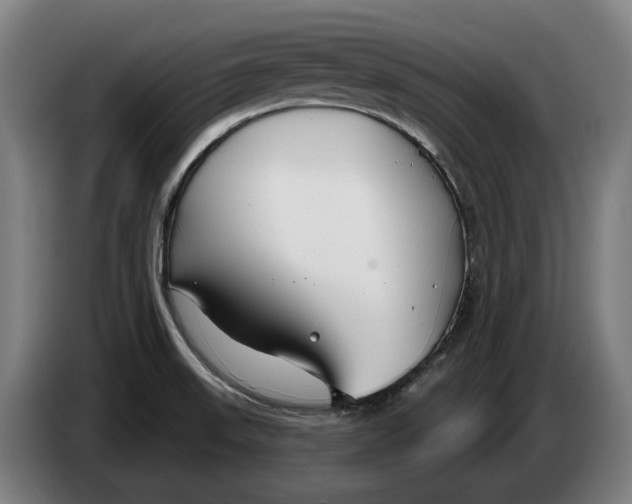 X0000086321523200704202012