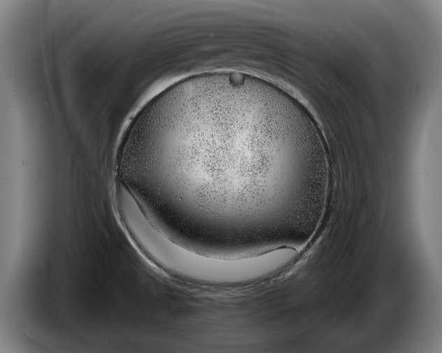 X0000086321525200704202012