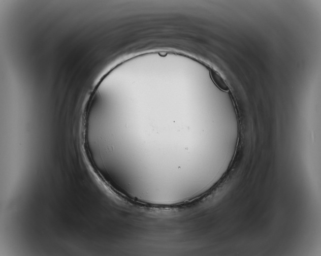 X0000086321526200704202012