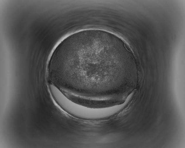 X0000086321527200704202012