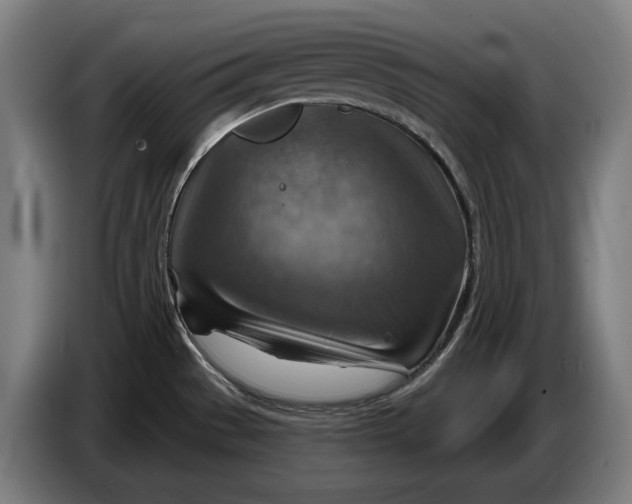 X0000086321529200704202012