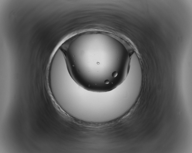 X0000086321530200704202012