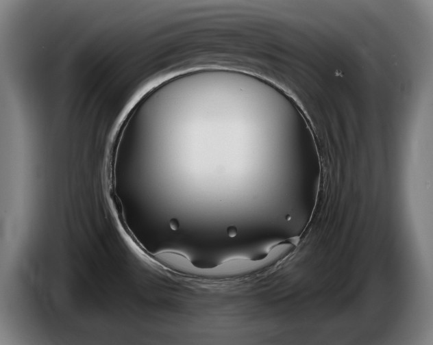 X0000086321531200704202012