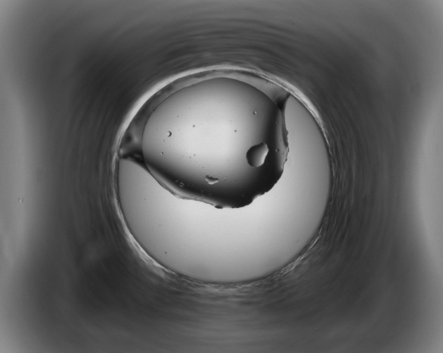 X0000086321532200704202012