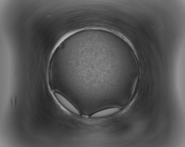 X0000086321533200704202012