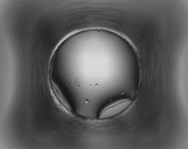 X0000086321534200704202012