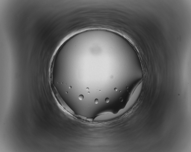 X0000086321535200704202012