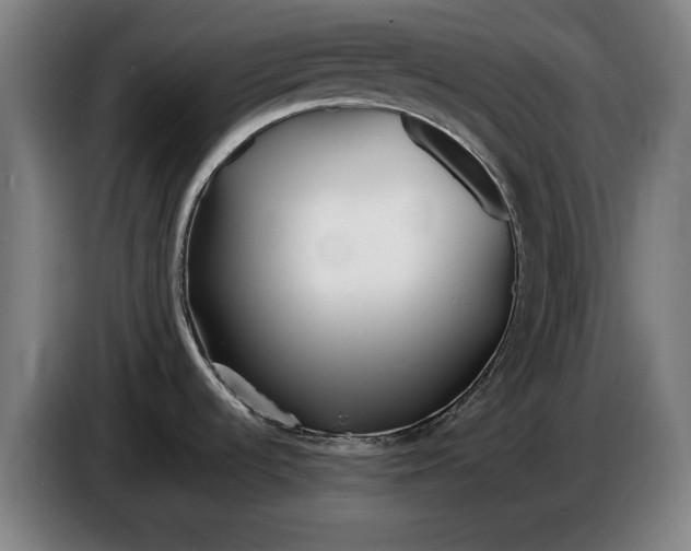 X0000086321536200704202012