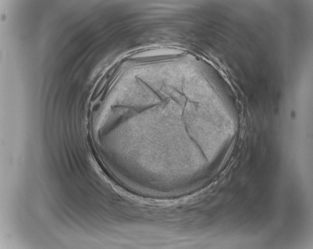 X0000086320002200704271929