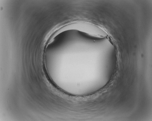 X0000086320007200704271929