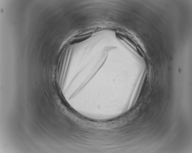 X0000086320010200704271929