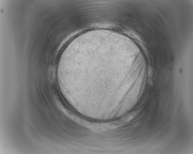 X0000086320012200704271929