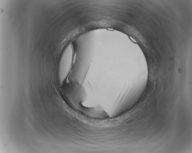 X0000086320023200704271928
