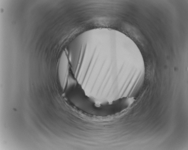 X0000086320027200704271928