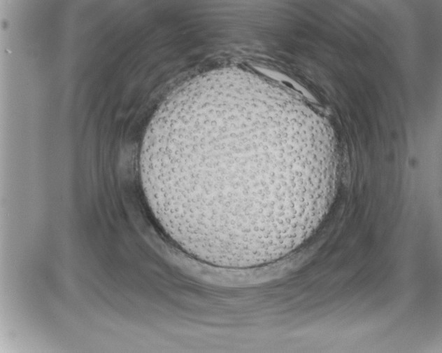 X0000086320034200704271928