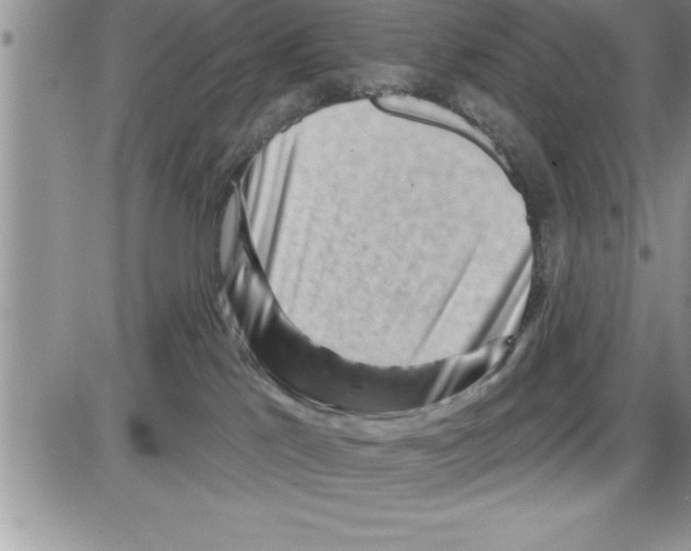 X0000086320041200704271928