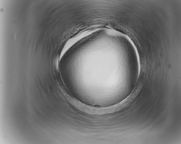 X0000086320047200704271928