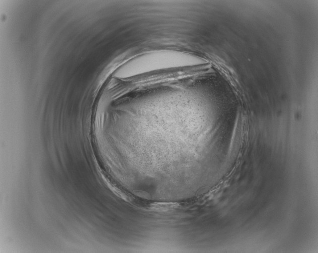 X0000086320051200704271927