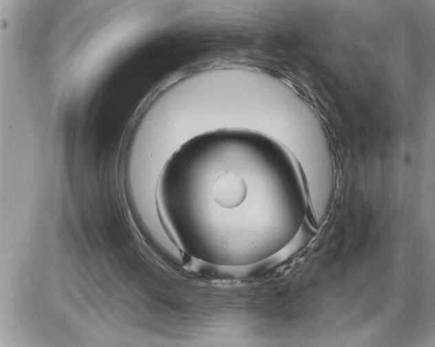X0000086320052200704271927
