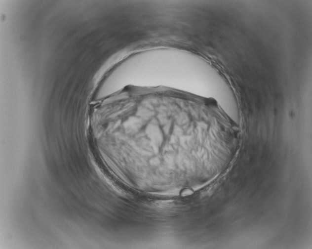 X0000086320054200704271927