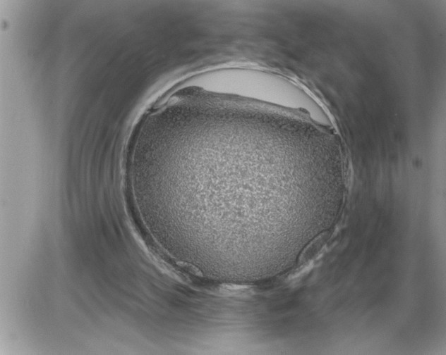 X0000086320055200704271927