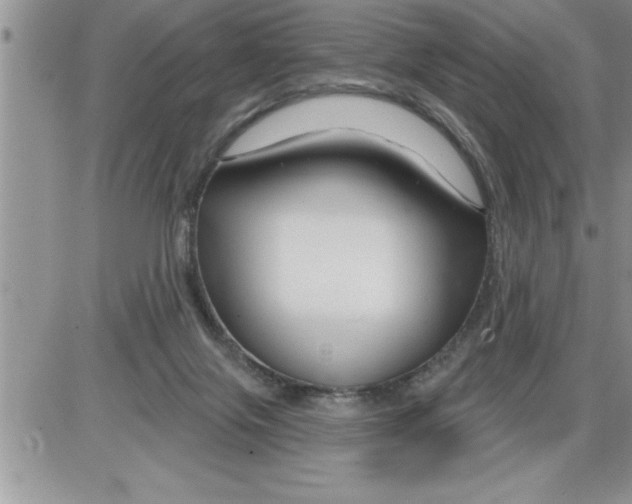 X0000086320071200704271928