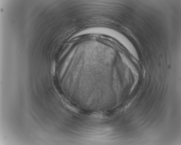 X0000086320076200704271928