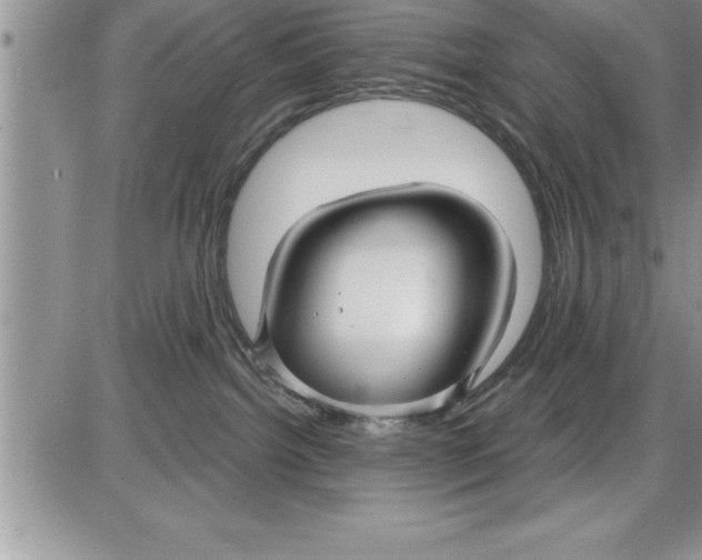 X0000086320092200704271928