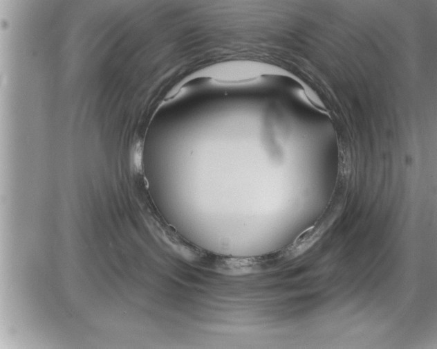 X0000086320095200704271928