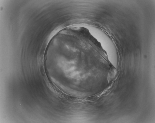X0000086320099200704271927