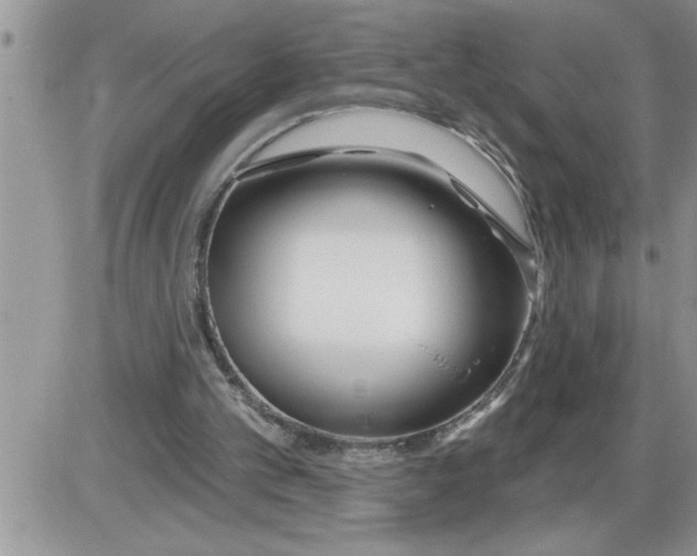 X0000086320101200704271927