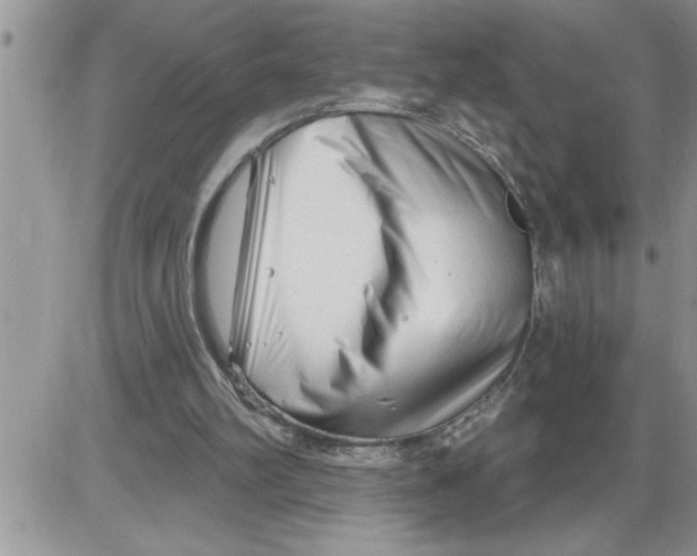 X0000086320102200704271927